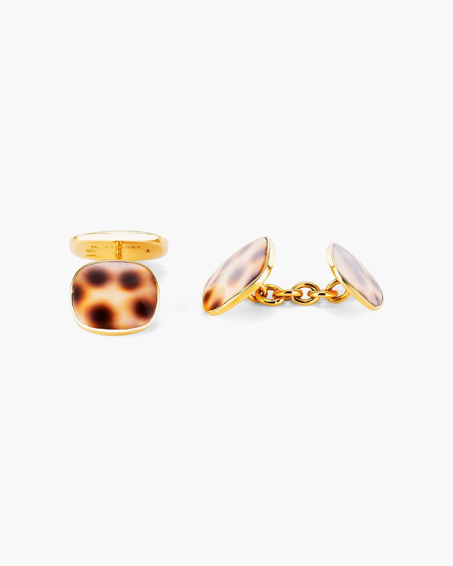 Cowrie Shell Cufflinks